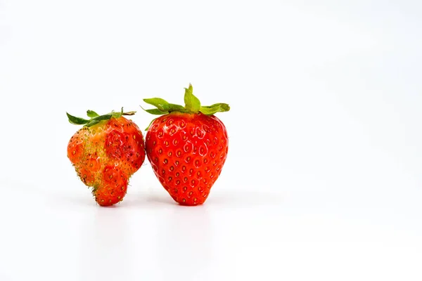 Feche Dois Morangos Lado Lado Esquerda Está Uma Fruta Malformada — Fotografia de Stock