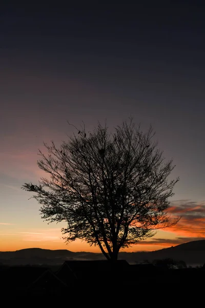 Silhueta Uma Árvore Contra Céu Alvorada Início Novo Dia — Fotografia de Stock