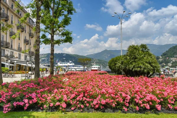 Como, İtalya - Haziran 2019: Como Gölü'nde Como göl kenarında renkli çiçek yatağı.