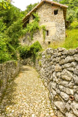 Como Gölü, İtalya - Haziran 2019: Come Gölü'nün bir kısmı boyunca uzanan bir yürüyüş parkurunda her iki tarafı da taş duvarlara sahip dar yol - Greenway del Lago di Como. Arka planda terk edilmiş bir ev var..