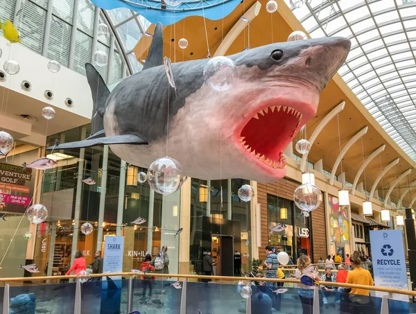 威尔士卡迪夫 2019年8月 一条大白鲨的大模型悬挂在卡迪夫市中心的圣大卫2购物中心的天花板上 展示是为了鼓励回收和防止塑料污染海洋 — 图库照片