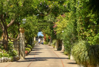 Sorrento, İtalya - Ağustos 2019: Sorrento'daki Excelsior Grand Vittoria oteline giden çalılıklar ve ağaçlar.