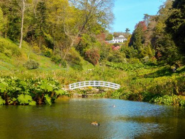 TREBAH GARDENS, CORNWALL, ENGLAND - MAY 2016: Lake with a white wooden bridge and trees in the background clipart