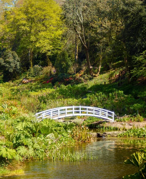 Trebah Gardens Cornwall England May 2016 White Wooden Bridge Stream — Stock Photo, Image