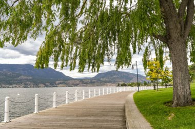 KELOWNA, BRITISH COLUMBIA, CANADA - HAZİRAN 2018: KELOWNA, British Columbia, Kanada.