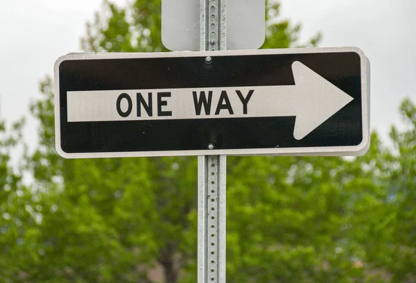 Close up of a road sign on a one way street