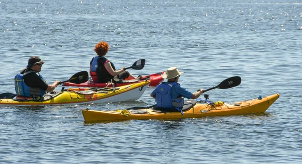 Cardiff Bay Wales July 2018 Three People Kayaks Peace Water — стокове фото