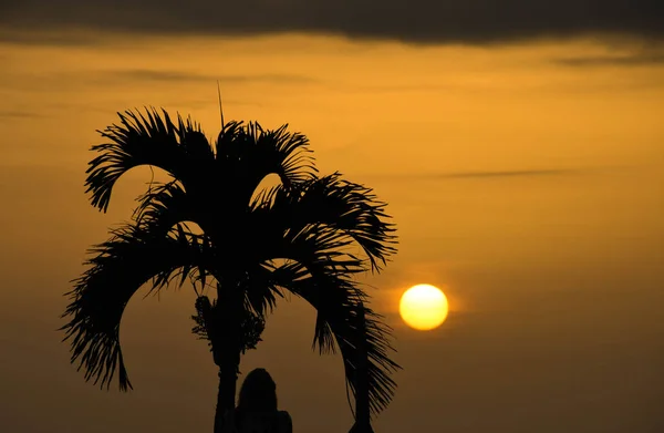 Batan Güneşe Karşı Silueti Olan Bir Palmiye Ağacının Altında Duran — Stok fotoğraf