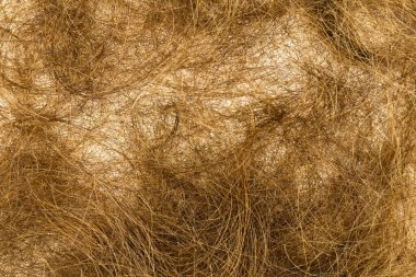 Kesildikten sonra bir yığın kahverengi saçı kapat