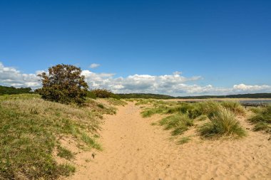 Newton Körfezi, Porthcawl, Galler - Temmuz 2020: Newtown Bay, Porthcawl 'daki Galler' in sahil yolu üzerindeki kum tepecikleri arasındaki patika.