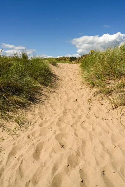 Voetsporen Sporen Een Pad Door Zandduinen — Stockfoto