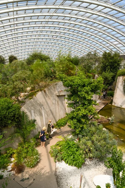 Carmarthen Wales August 2020 Interior Large Curved Dome Glass House — 스톡 사진