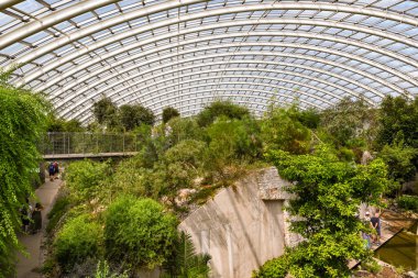 Carmarthen, Wales - August 2020: Interior of the large curved dome of the glass house at the National Botanical Garden of Wales clipart
