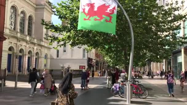 Cardiff Wales 2019年7月 カーディフのヘイズショッピングエリアの人々がウェールズの旗 赤龍を歩いています — ストック動画