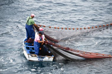 Porto Moniz, Madeira, Portekiz - Eylül 2017: Yerel balıkçılar ağlarını çekiyorlar