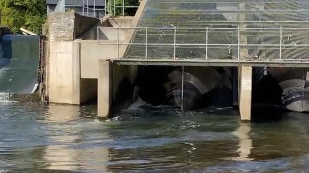 Radyr Cardiff Yakınlarında Eylül 2020 Şekerleme Nehri Ndeki Hidroelektrik Santrali — Stok video