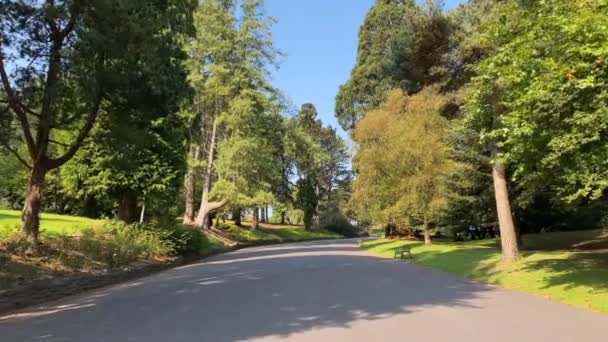 Malowniczy Widok Szeroką Drogę Przez Park Publiczny Aberdare Żadnych Ludzi — Wideo stockowe