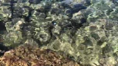 Güneş ışığında, deniz tabanında kayalarla sığ sularda hafif dalgalanmalar. 