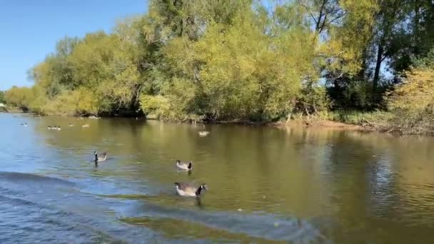 Fiume Wye Inghilterra Settembre 2020 Vista Panoramica Crociera Sul Fiume — Video Stock