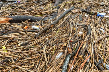 Cardiff, Wales - Ekim 2018: Kırık dallar, sopalar, plastik şişeler ve selin ardından bir nehrin sığ sularında yüzen diğer plastik atıklar