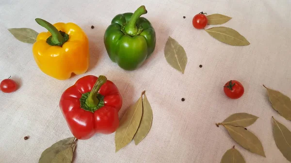 Pimenta Doce Cores Diferentes Tomates Folha Baía Vermelho Amarelo Verde — Fotografia de Stock