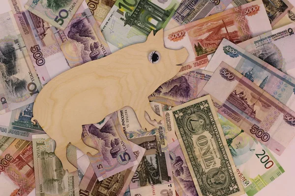 Symbol 2019 Świnia Spacery Banknoty Różnych Krajów Bogactwo Zysku — Zdjęcie stockowe