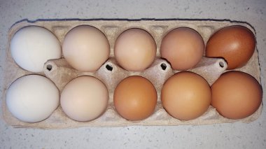 Yumurta karton bir substrat kuvars tezgah üzerinde farklı tonları. Yumurta doğal rengi. Paskalya için hazırlık.