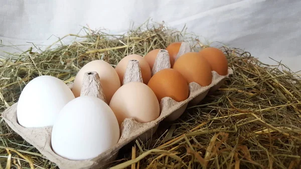 Eggs in the hay. Eggs of different shades in a cardboard substrate on a hay. The natural color of the eggs. Preparation for Easter.