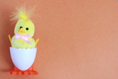Sarı bir oyuncak tavuk oyuncak beyaz yumurtadan yumurtadan çıktı. Mutlu Paskalya. Yeni bir hayatın sembolü. Metin için alan.