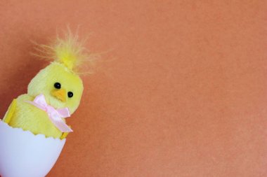 Sarı bir oyuncak tavuk oyuncak beyaz yumurtadan yumurtadan çıktı. Mutlu Paskalya. Yeni bir hayatın sembolü. Metin için alan.