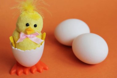 Beyaz tavuk yumurtası ve yanında da oyuncak tavuk. Oyuncak beyaz yumurtadan çıkan sarı oyuncak bir tavuk. Paskalya tatili konsepti. Yeni hayatın sembolü.