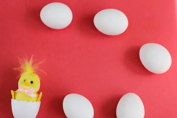 White chicken eggs and yellow toy chicken on red background. happy Easter. Symbol of new life. empty space for text
