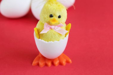 Sarı bir oyuncak tavuk oyuncak beyaz yumurtadan yumurtadan çıktı. Mutlu Paskalya. Yeni yaşamın sembolü.