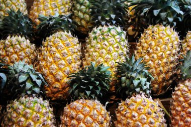 Ananaslar arka arkaya.