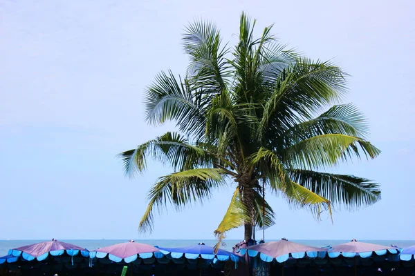 Palmeiras e guarda-sóis de praia na praia nos trópicos. Férias de verão . — Fotografia de Stock