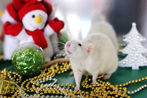 おもちゃの雪だるまの近くのクリスマスの雰囲気の中のネズミ。2020年のシンボル — ストック写真