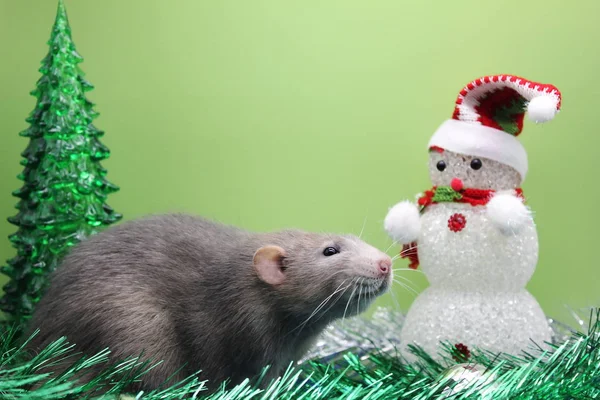 Un rat est un symbole de la nouvelle année 2020 près d'un jouet sapin de Noël et un bonhomme de neige parmi tinsel . — Photo