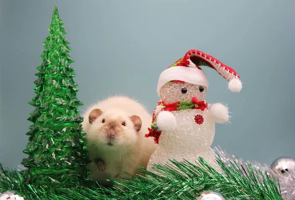 En råtta är en symbol för det nya året 2020 nära en leksak julgran och en snögubbe bland glitter. — Stockfoto