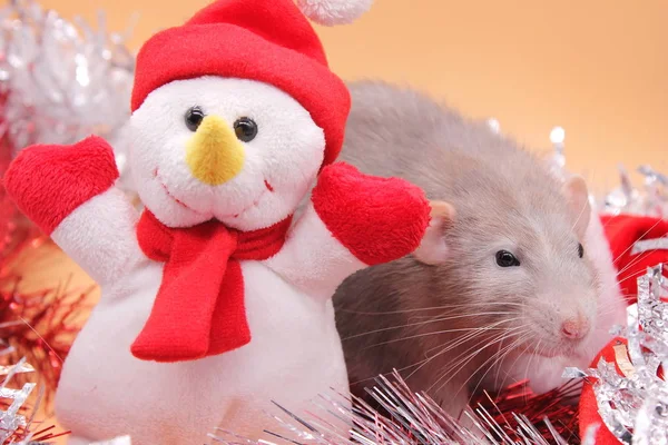 Un rat-un symbole de la nouvelle année 2020-à côté d'un bonhomme de neige jouet parmi tinsel — Photo