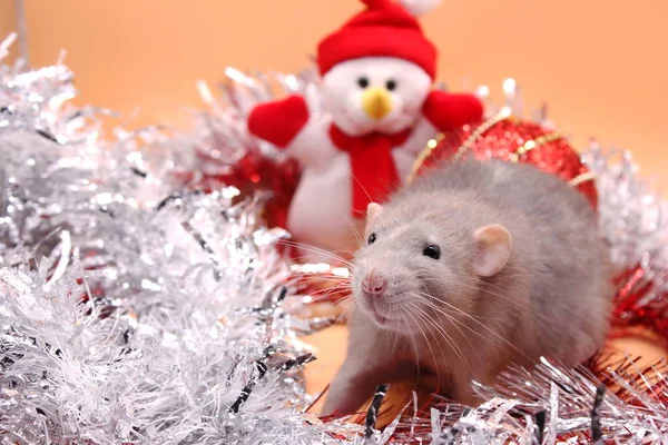 Un rat-un symbole de la nouvelle année 2020-à côté d'un bonhomme de neige jouet parmi tinsel — Photo