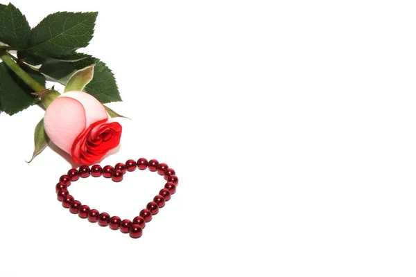 Ένα τριαντάφυλλο και μια καρδιά από κόκκινες μαγνητικές χάντρες απομονώνονται σε λευκό φόντο. — Φωτογραφία Αρχείου