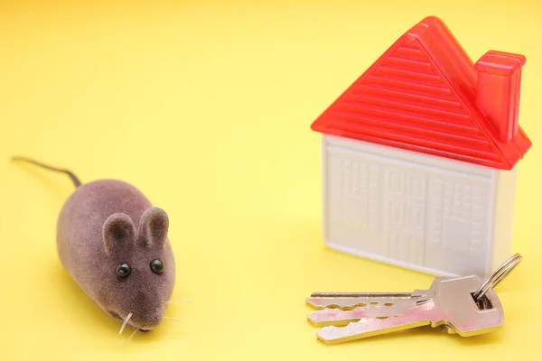 おもちゃのマウス-新年2020のシンボルは、プラスチック製のおもちゃの家と家に本物のキーの横にある. — ストック写真