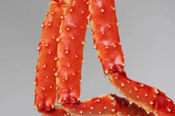 蟹的一部分 螃蟹腿特写 美味海鲜 — 图库照片