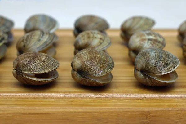 Fresh Raw Vongole Clams Laid Out Row Wooden Board Sea — Stock Photo, Image