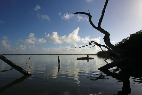 Kayaker nel Parco Nazionale delle Everglades, Florida . — Foto Stock