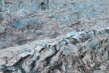 Mendenhall Buzulu, Alaska.