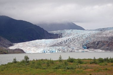 Mendenhall Buzulu ve vadi, Alaska.