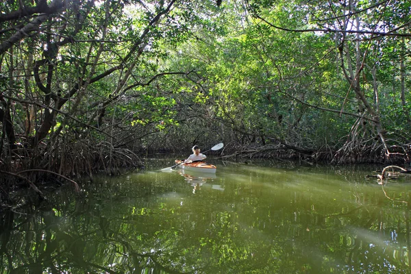 Žena na kajaku v mangrovových tunelu v národní Park Everglades na Floridě. — Stock fotografie