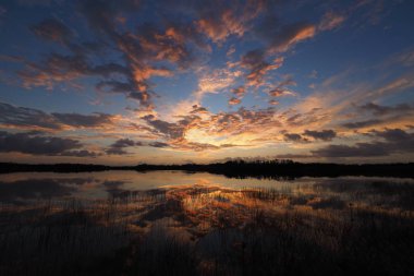 Everglades Ulusal Parkı, Florida 'daki Nine Mile Pond' da gün doğumu.