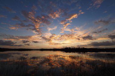 Everglades Ulusal Parkı, Florida 'daki Nine Mile Pond' da gün doğumu.